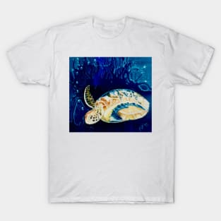 arthurs turtle, light T-Shirt